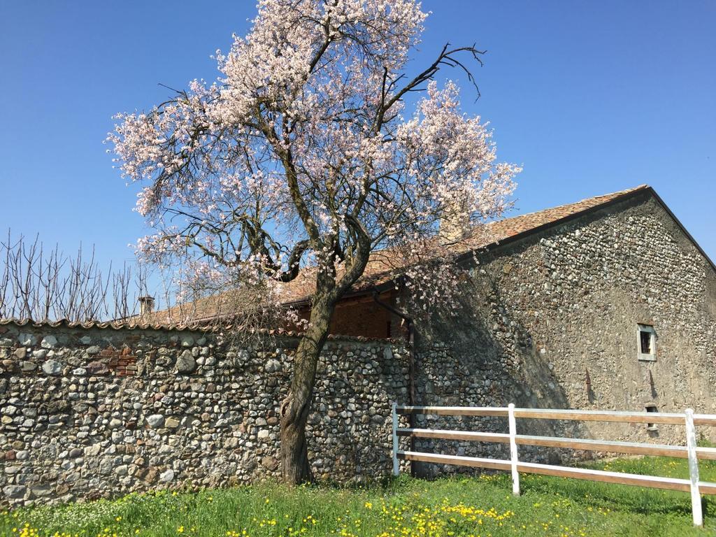 Bed and Breakfast Antico Cascinale Lombardo à Lonato Extérieur photo